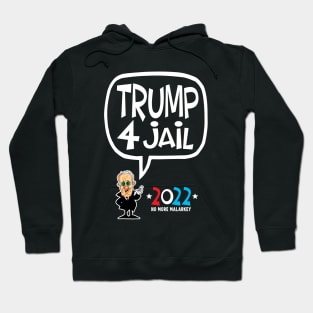 Trump 4 Jail 2022 Hoodie